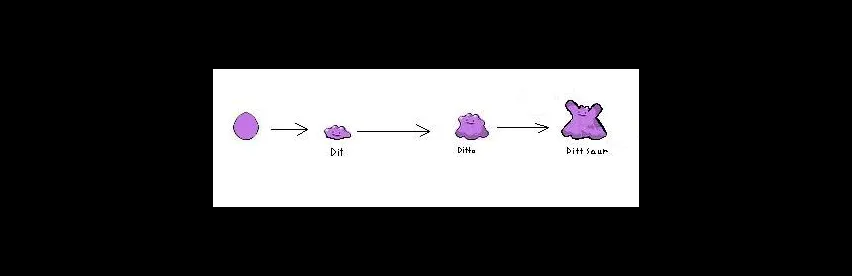 Does ditto evolve?