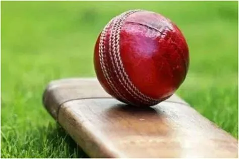 How to predict cricket matches?