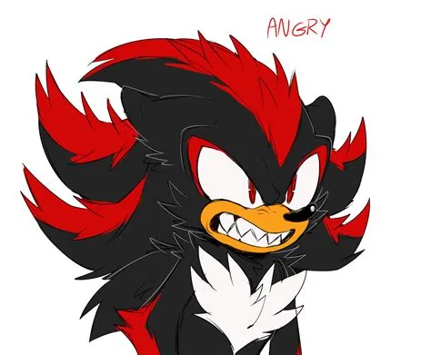 Why is shadow mad at sonic?