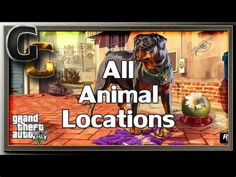 What is the 22nd animal in director mode?