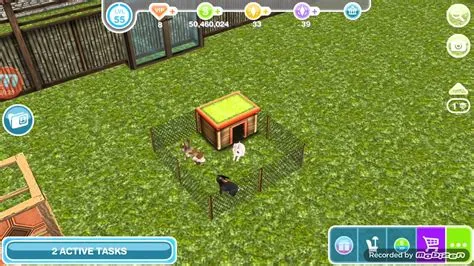 What do rabbits do in sims freeplay?