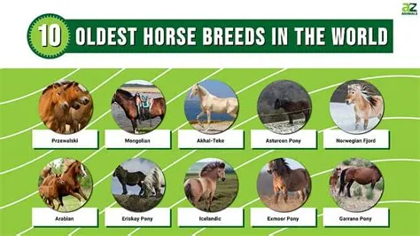 What is the oldest horse name?