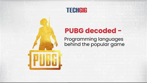 Which programming language is used in pubg?