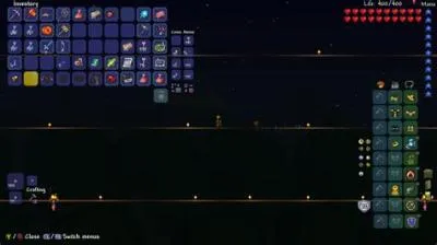 What are the chances of a dev set terraria?