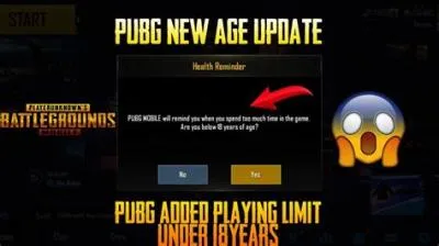 What is the age limit for pubg?