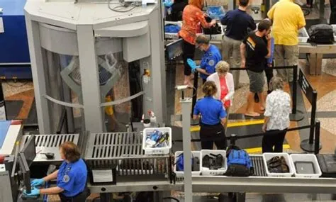 Can an oculus go through airport security?