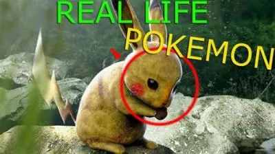 Is pokémon based on real life?