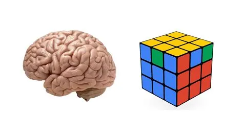 Is rubik good for brain?