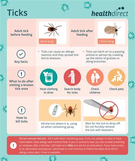 How many ticks are in a day?