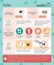 How many ticks are in a day?