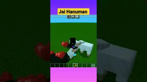 How many indians play minecraft?