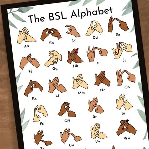 What is 9 in bsl?