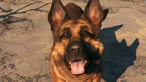 What dog is in fallout 4?