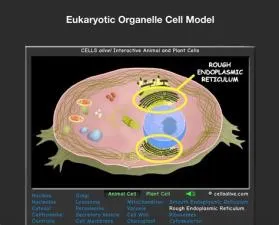 Is anything made of cells alive?