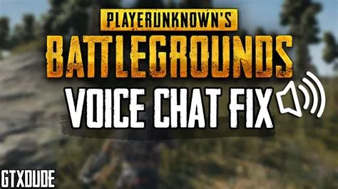 Does pubg use voice chat?