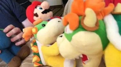 Who gave birth to bowser jr?