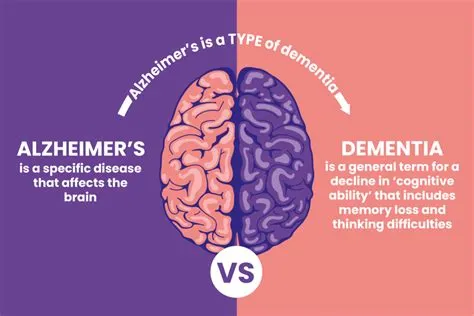 Whats the difference between alzheimers and dementia?