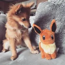 Is eevee a dog or a car?