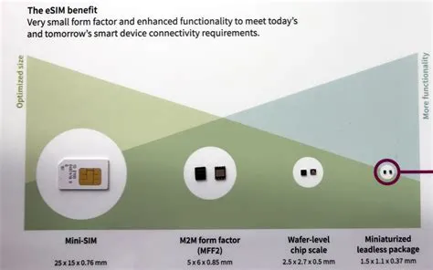 What is the esim card?