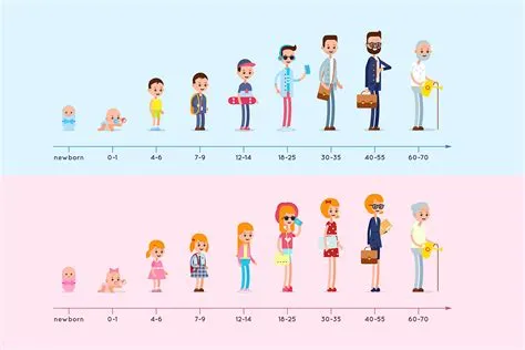 What age group is phase 10 for?