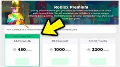 How long does it take for roblox premium to show up?