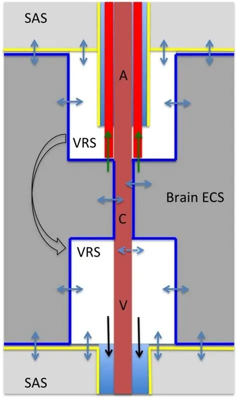 How much space do you need for vr?