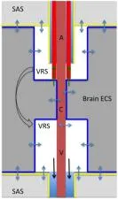 How much space do you need for vr?