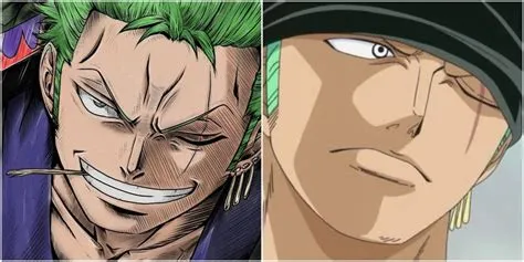 Did zoro lose shusui?