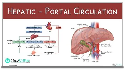 Does portal 1 have blood?