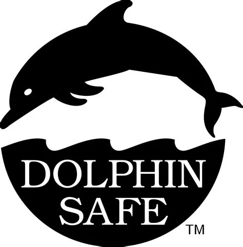 Is it safe to use dolphin?