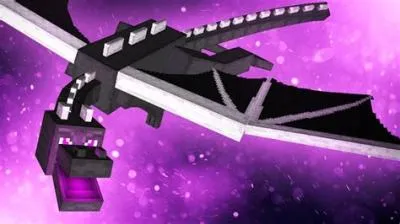 What can ender dragons not break?