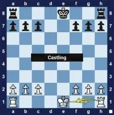 Can king move 2.5 steps in chess?