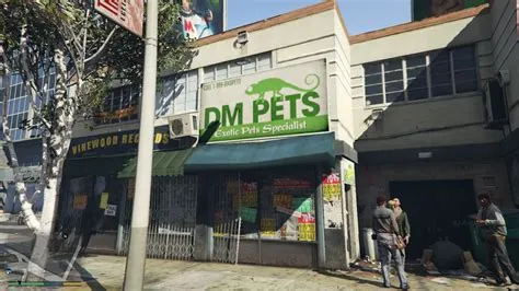 Can we buy pets in gta 5?