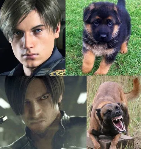 Does leon kennedy have a pet?