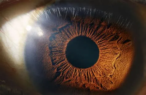 How many hz is the human eye?