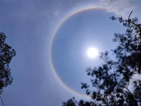 Is a 22 degree halo rare?