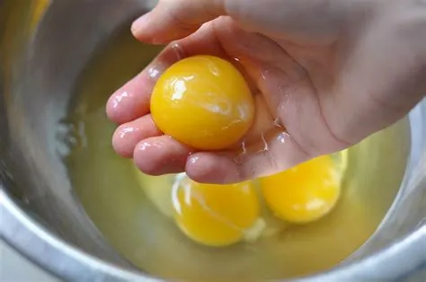 What is hand egg?