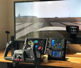 How much does a professional plane simulator cost?