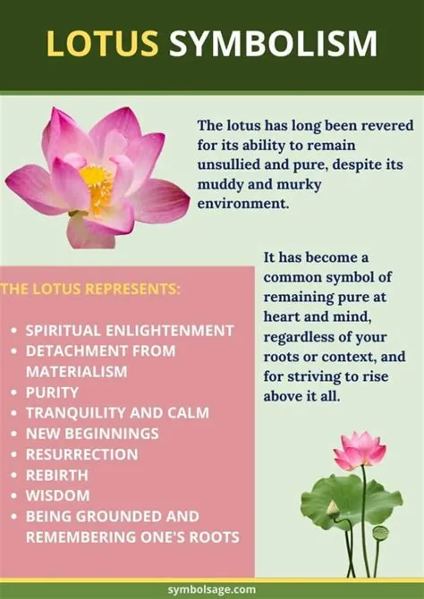 What japanese name means lotus?