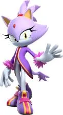 How old is blaze the cat?