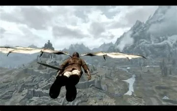 What is the command to fly in skyrim?