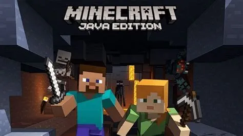 Can i play minecraft java offline?