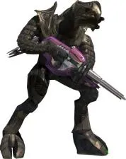 How old is the arbiter in halo?