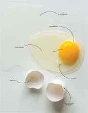 What is 15 eggs called?