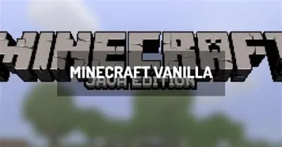 Why is it called vanilla minecraft?