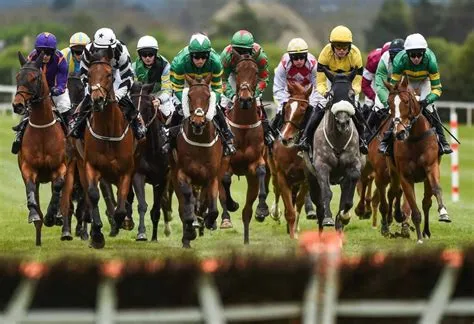 What is the safest horse racing bet?