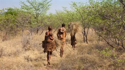 Are hunter gatherers skinny?