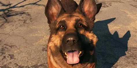 Why is dogmeat now called dog?