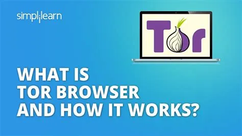 Who owns tor browser?