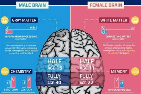 Do female brains develop faster?